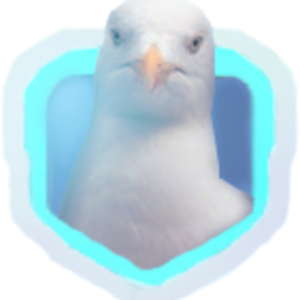 A_Seagull