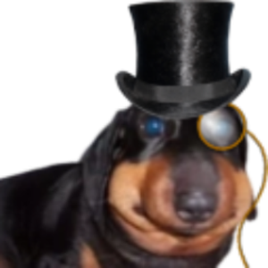 dog9tv