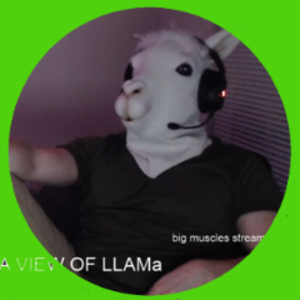 foxyllama