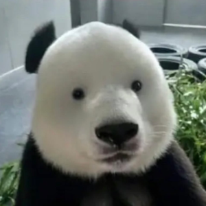 noobkillernoobkiller