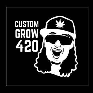 officialcustomgame420