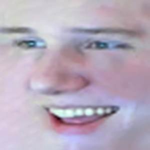 RapidMain