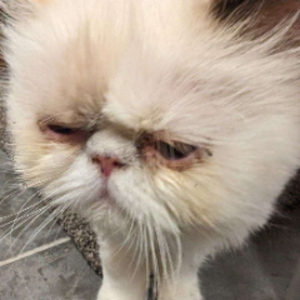 SebastianMelmoth1854