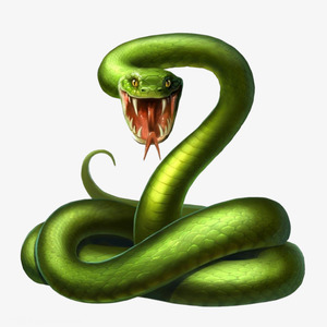 Snakezy