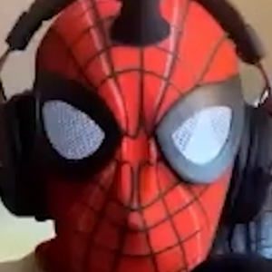 spiderlag_