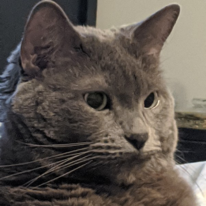 StormMalina