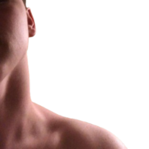 TheCX15