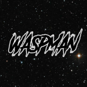 Waspman