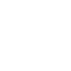 Z_Laner